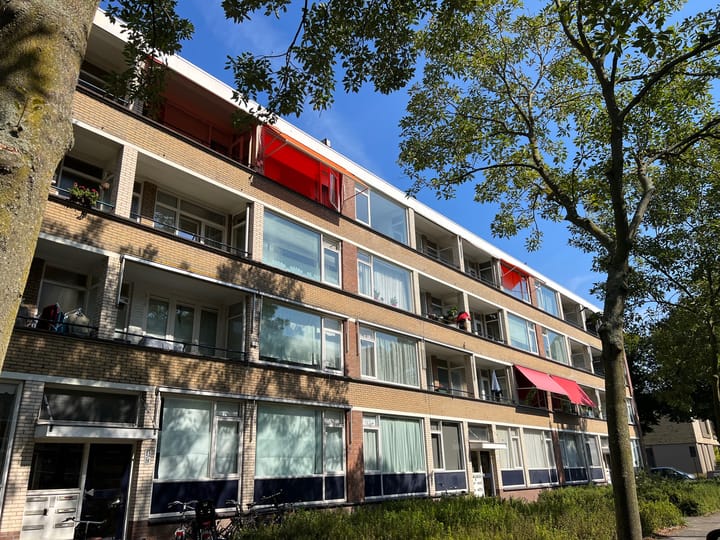 Foto 1 van Johan Coollaan 15