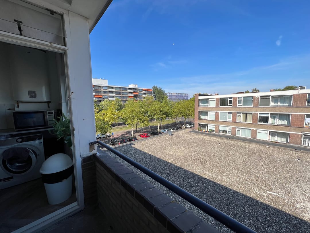 Foto 13 van Johan Coollaan 15