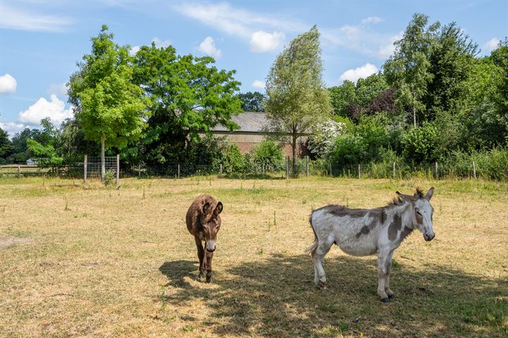 Bekijk foto 55 van Meulenspie 27