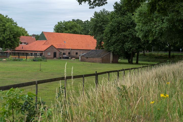 Bekijk foto 16 van Walsbergseweg 7