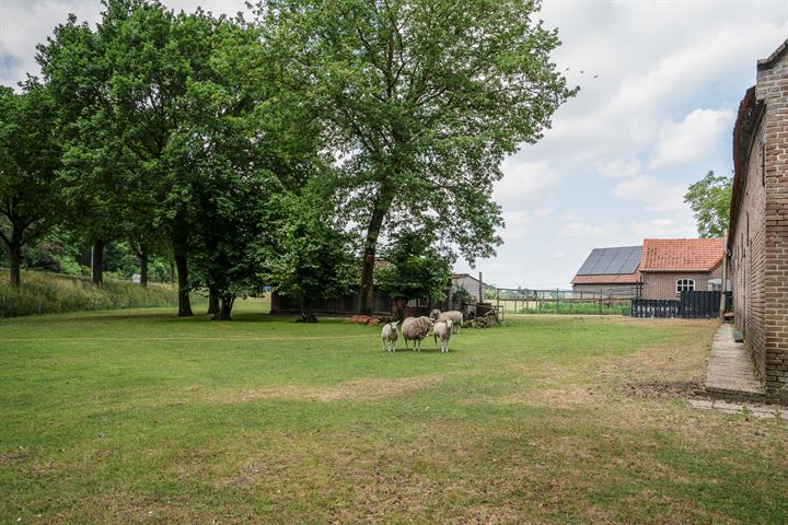 Bekijk foto 11 van Walsbergseweg 7