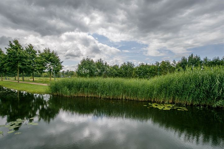 Bekijk foto 33 van Burggraaf 11