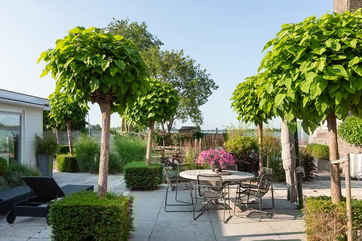 Foto 38 van Oud-Loosdrechtsedijk 263