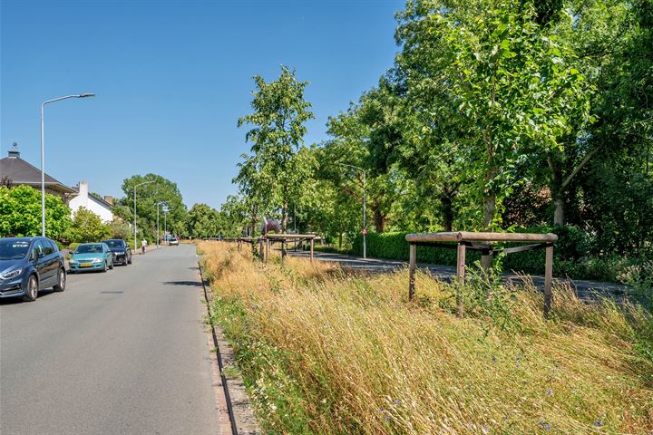 Bekijk foto 50 van Hertog Reinoudsingel 175