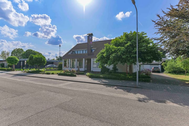 undefined main image