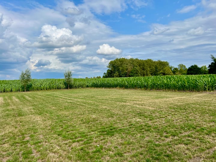 Photo 4 of Berkenstraat 12-B