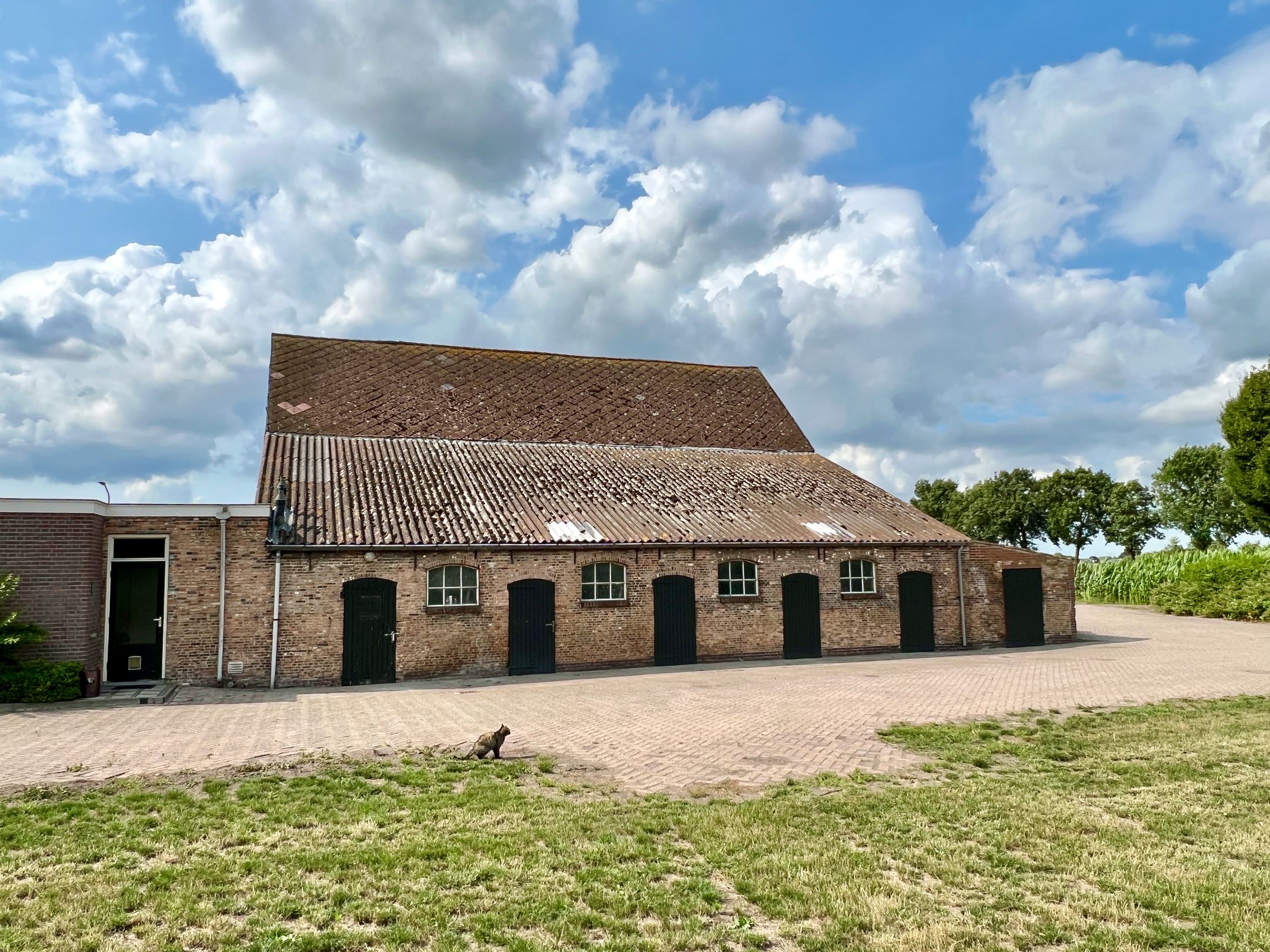 Photo 3 of Berkenstraat 12-B