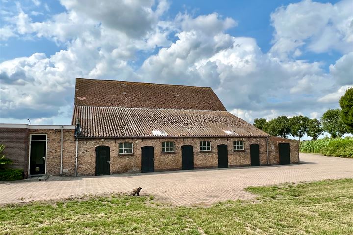 Bekijk foto 3 van Berkenstraat 12-B