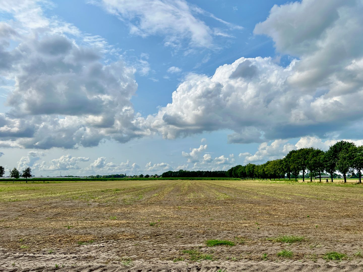 Photo 5 of Berkenstraat 12-B