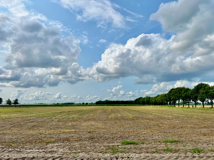 Photo 5 of Berkenstraat 12-B