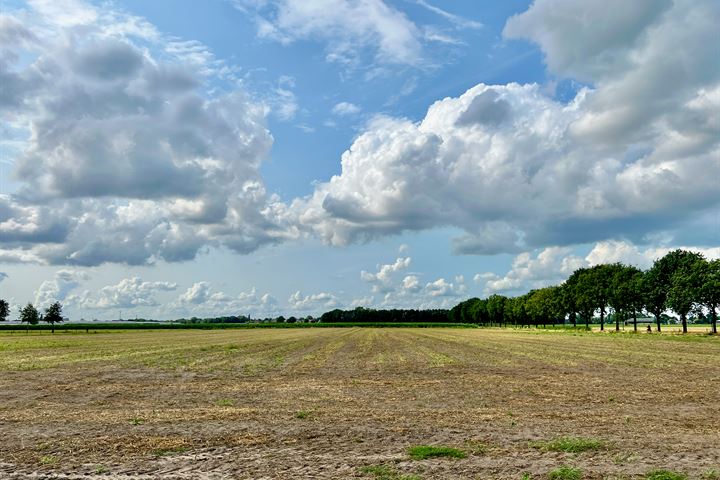 Bekijk foto 5 van Berkenstraat 12-B