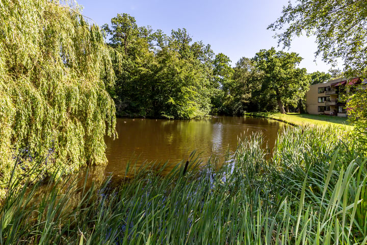 Bekijk foto 45 van Binnenweg 6-119