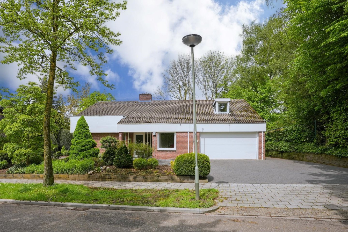 Bekijk foto 1 van Jonge Hagen 33
