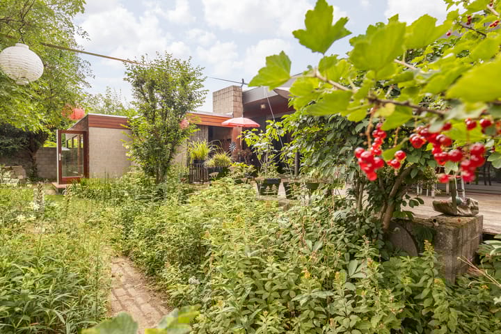 Photo 61 of Rijksweg Zuid 178