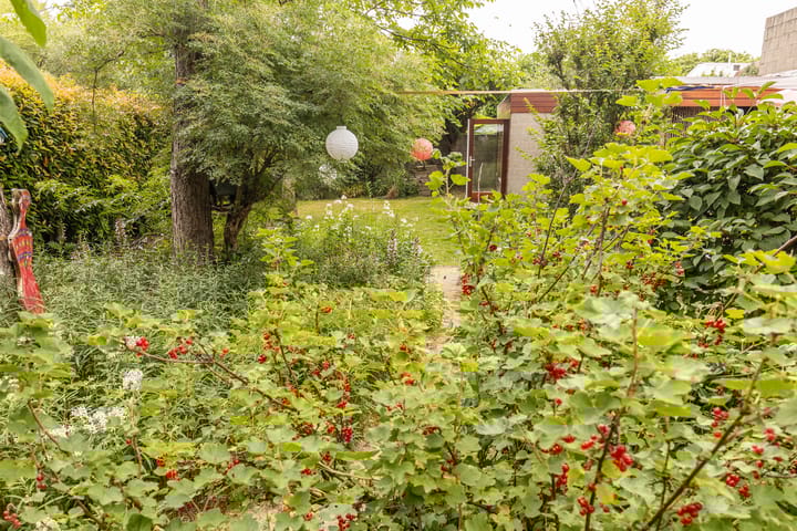 Photo 60 of Rijksweg Zuid 178