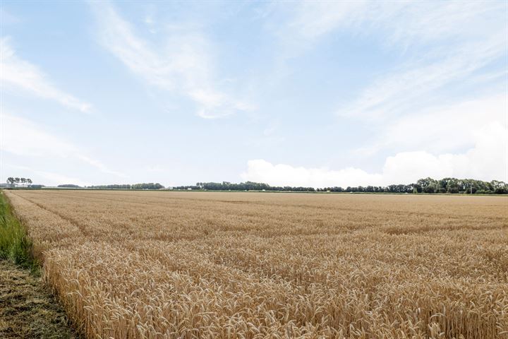 Bekijk foto 38 van Langeweg 35