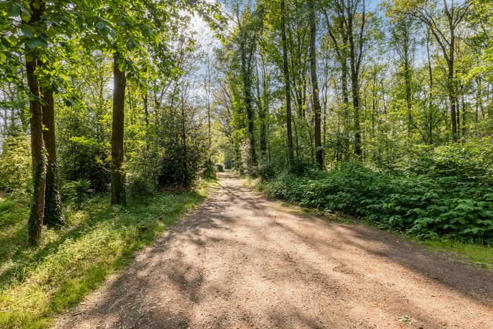 Foto 59 van Walbeckerweg 18