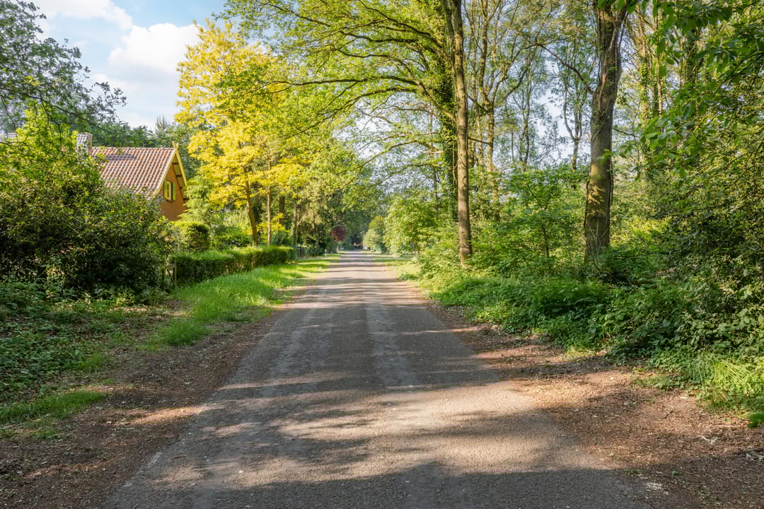 Foto 61 van Walbeckerweg 18