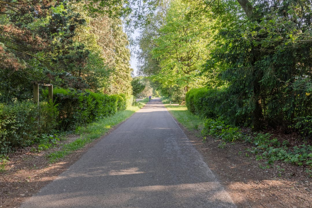 Foto 62 van Walbeckerweg 18