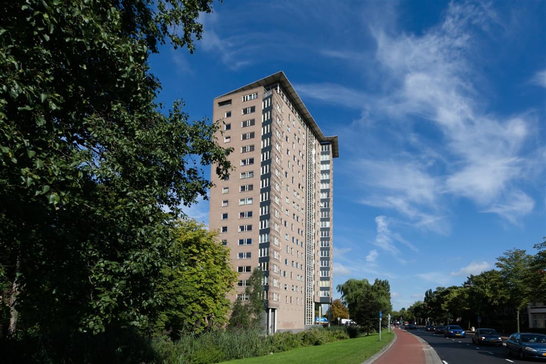 Foto 1 van Hanzeplein 111