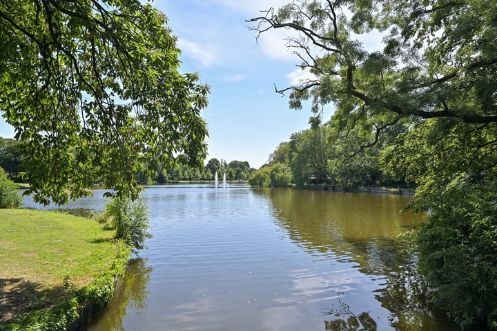 Bekijk foto 38 van Vreeswijkstraat 311