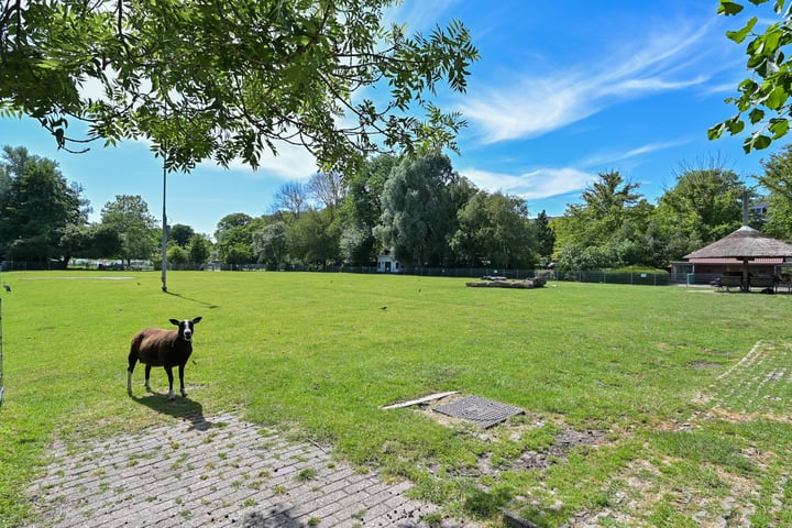 Bekijk foto 36 van Vreeswijkstraat 311