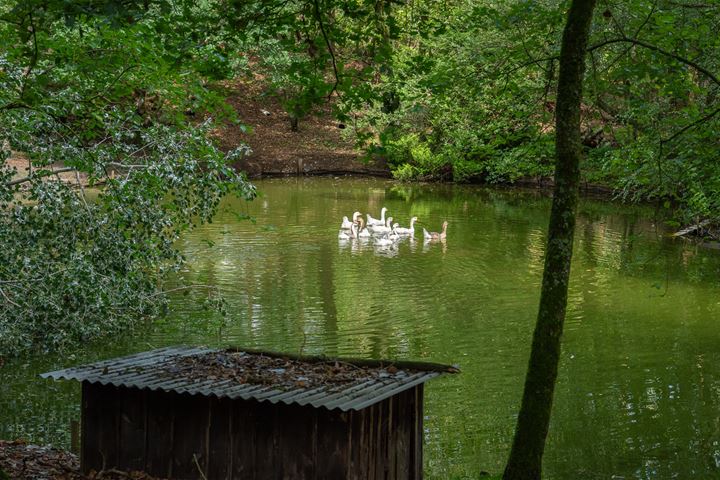 Bekijk foto 24 van Vierschotenweg 8-A