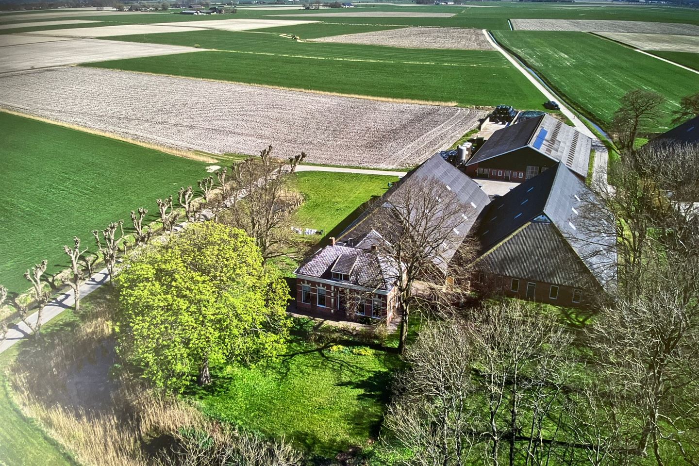 Bekijk foto 1 van Eenrumerweg 51