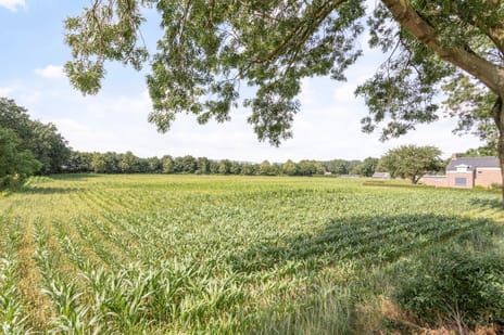 Vrouwboomweg