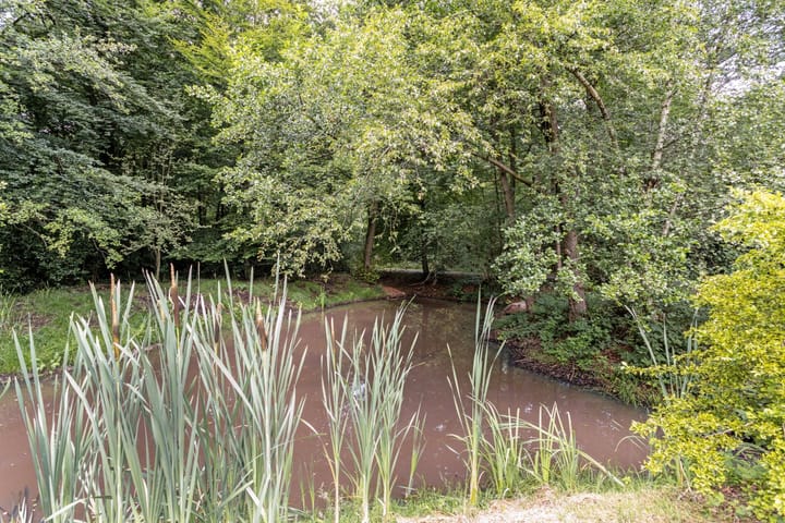 Foto 30 van Bad Bentheim 187