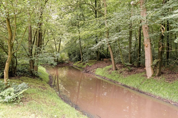 Foto 31 van Bad Bentheim 187