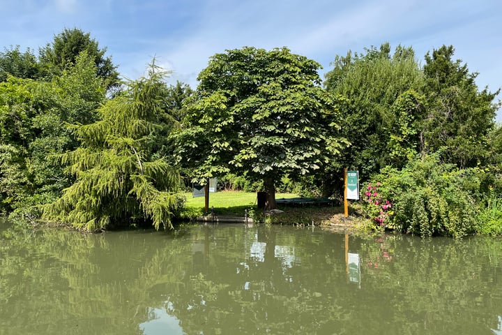 Foto 2 van Pruimendijk