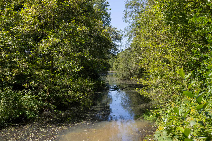 Bekijk foto 34 van Sieberg 904