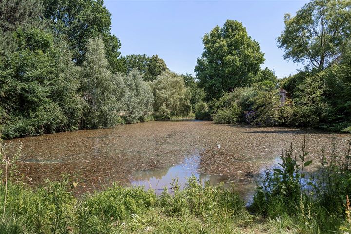 Bekijk foto 33 van Sieberg 904