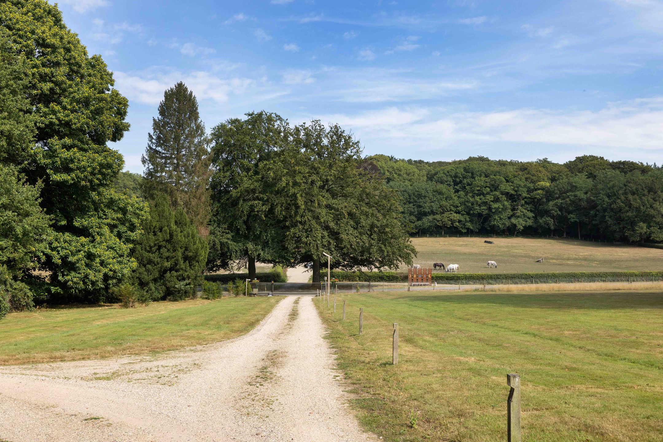 Photo 3 of Meerwijkselaan 9