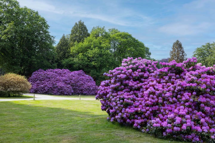 Foto 6 van Meerwijkselaan 9