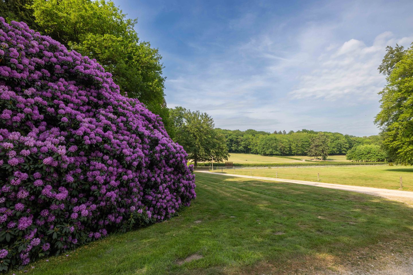 Photo 4 of Meerwijkselaan 9