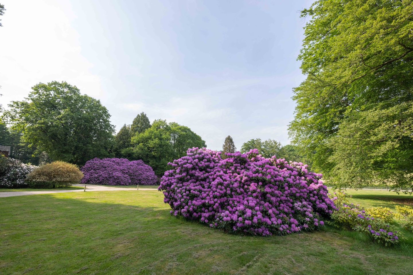 Photo 5 of Meerwijkselaan 9