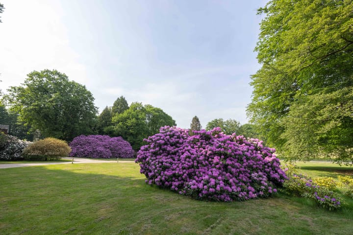 Foto 5 van Meerwijkselaan 9