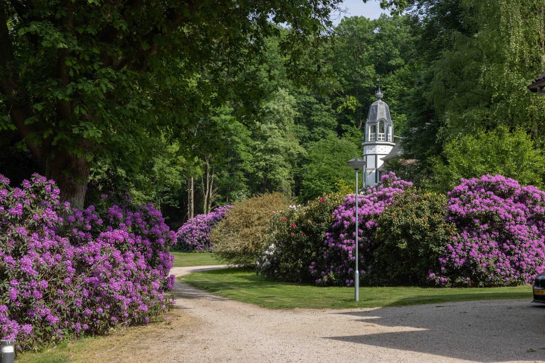 Photo 8 of Meerwijkselaan 9