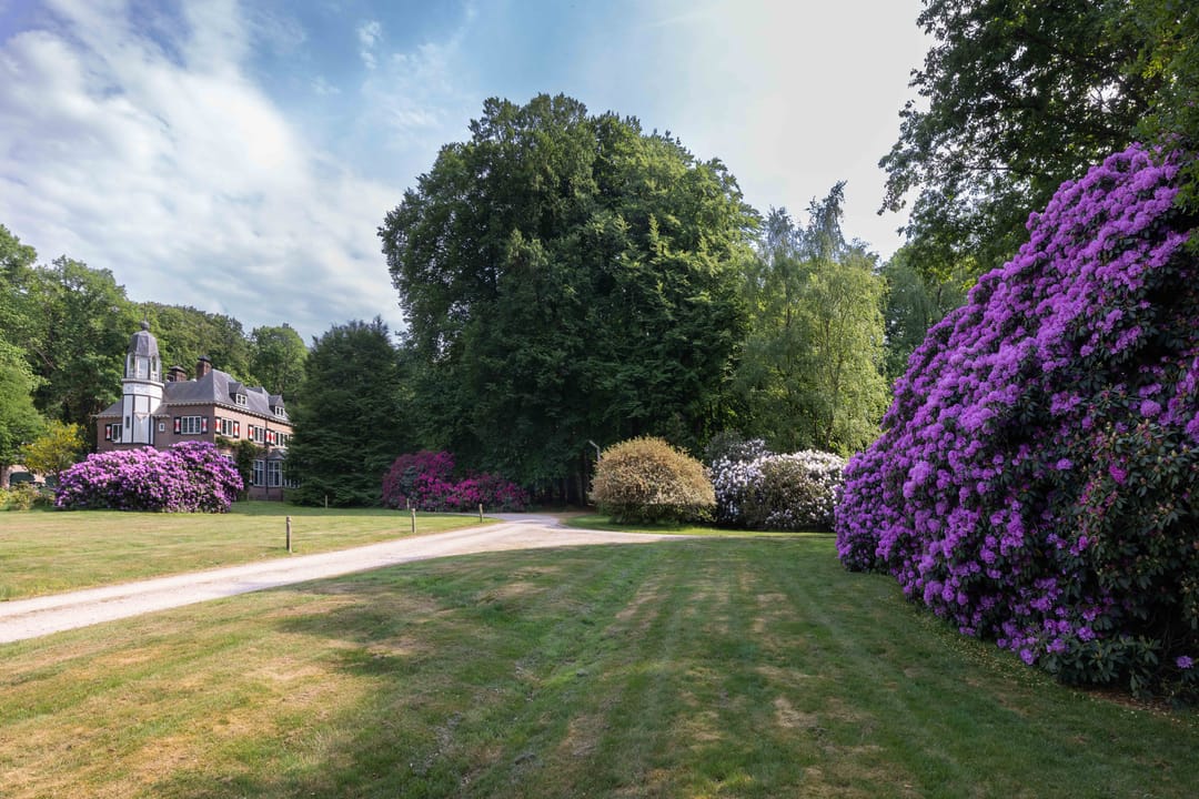 Photo 7 of Meerwijkselaan 9