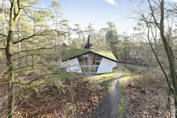 Foto 2 van Bosvilla 8 | 60