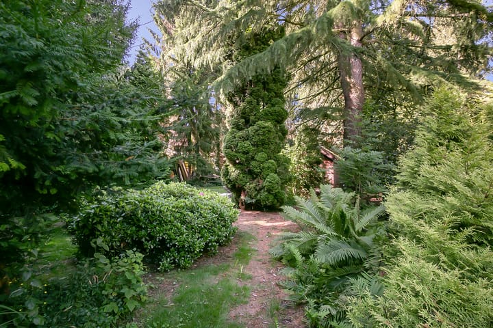 Foto 33 van Oosterwijk WZ 37