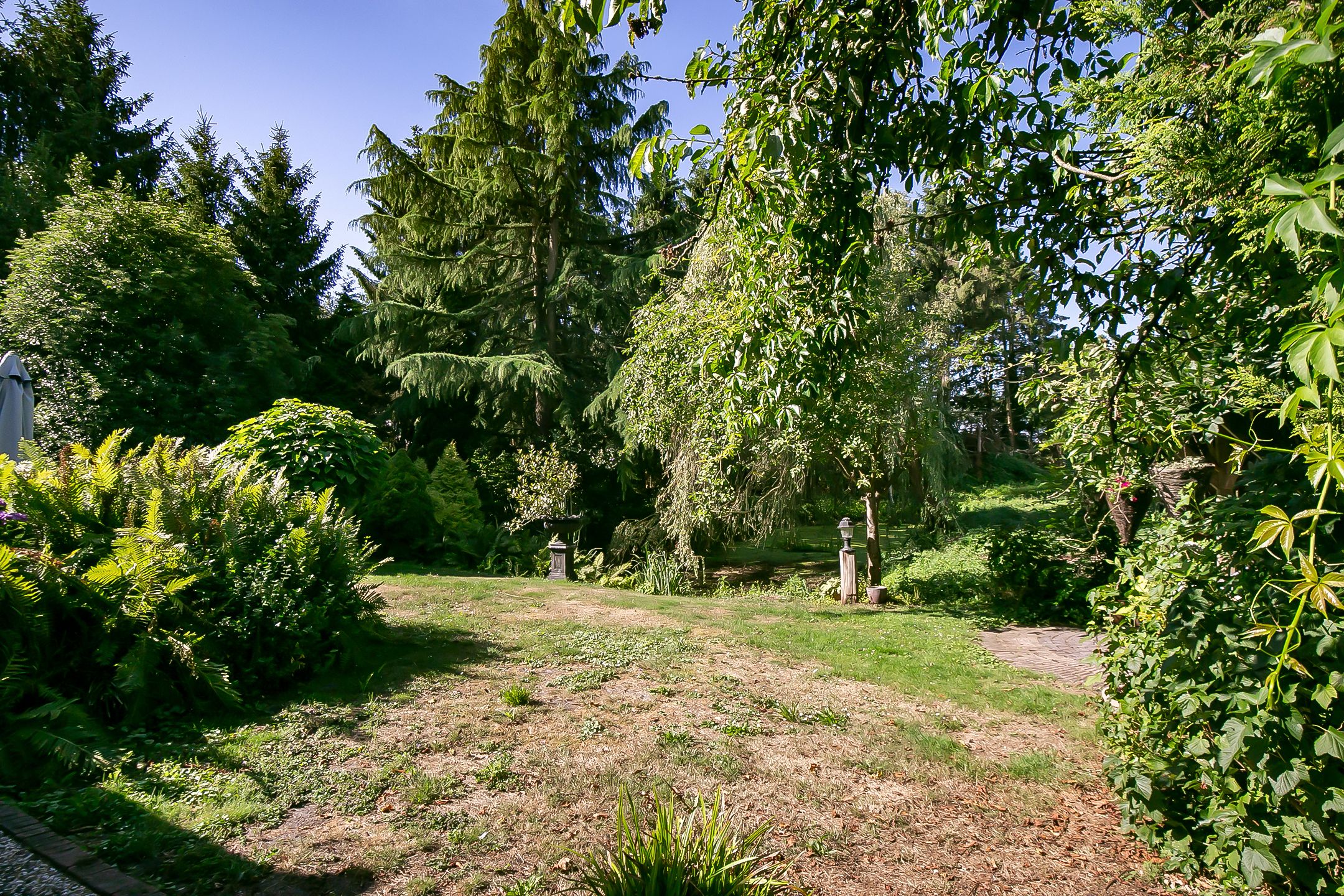 Foto 30 van Oosterwijk WZ 37