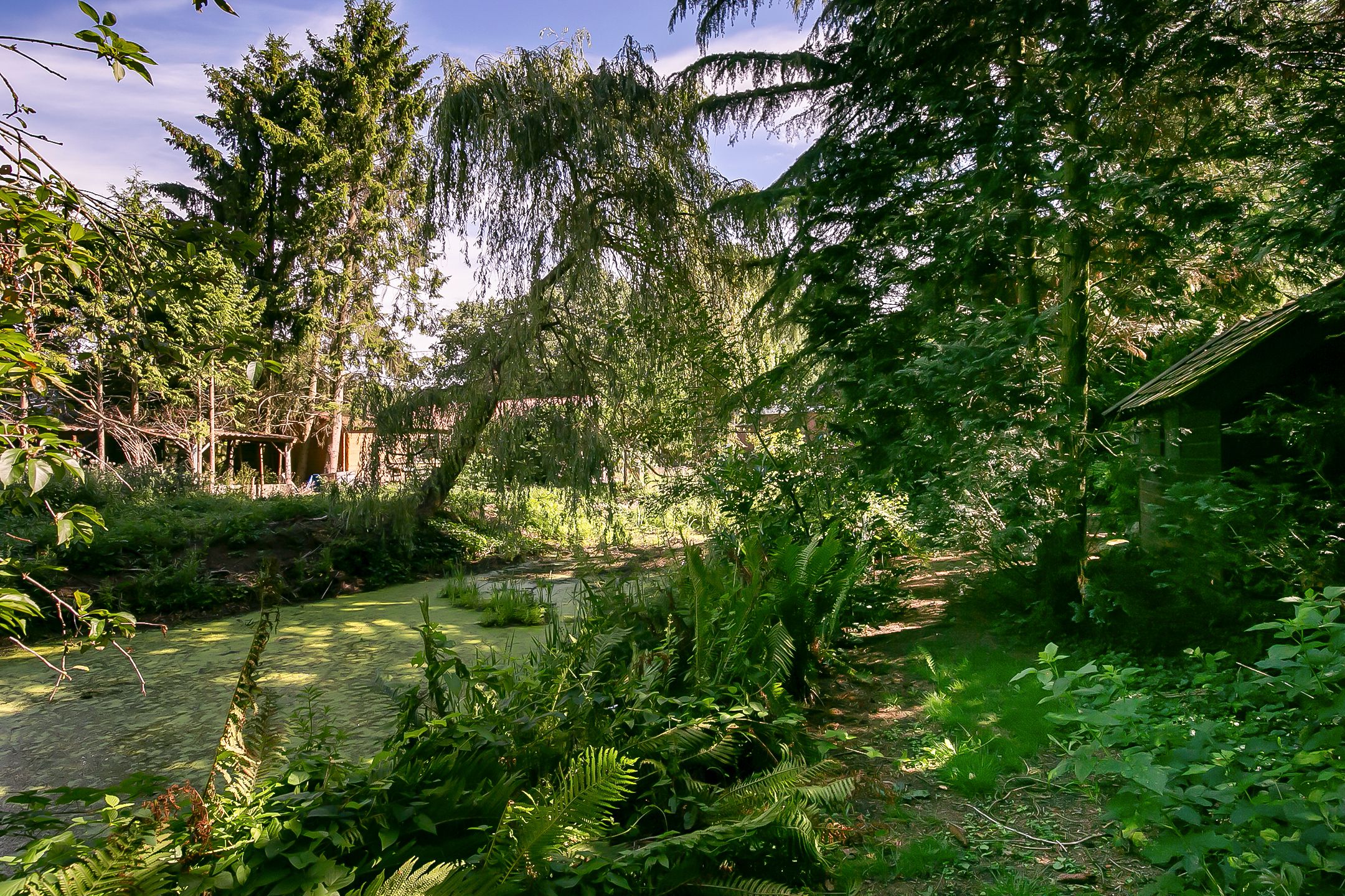 Foto 36 van Oosterwijk WZ 37