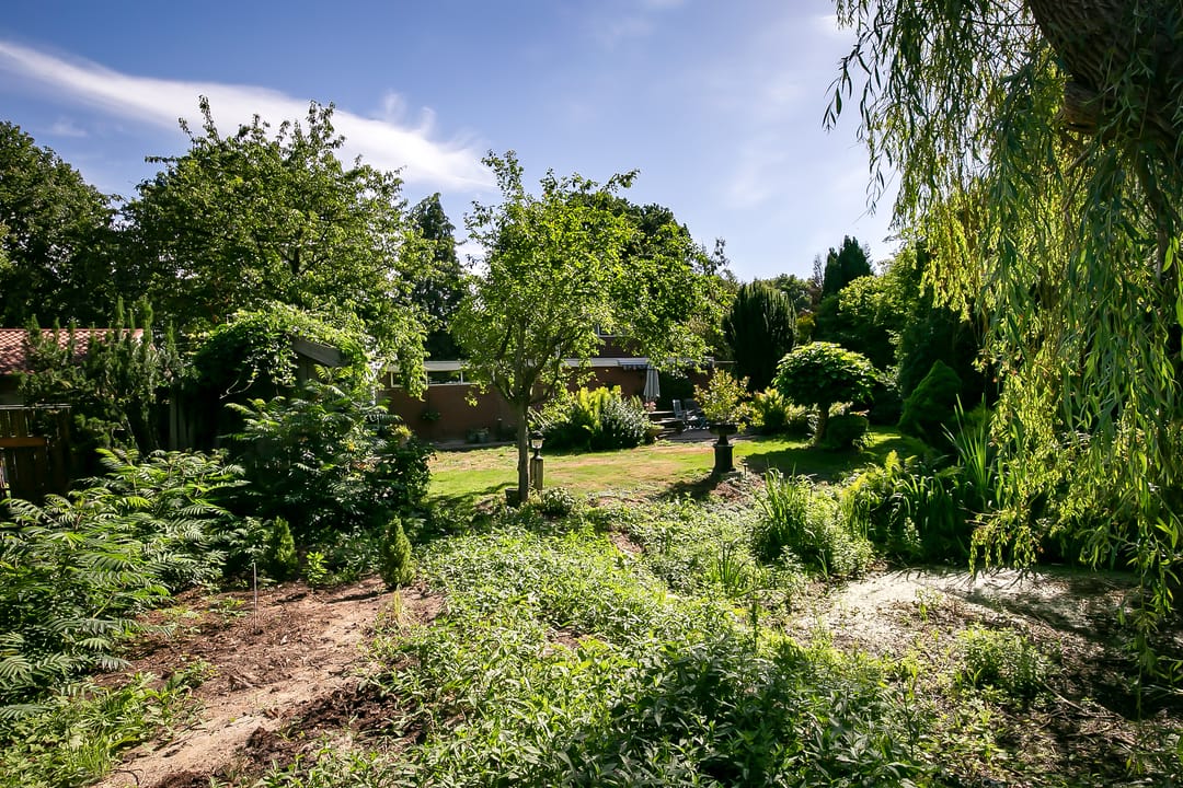 Foto 38 van Oosterwijk WZ 37