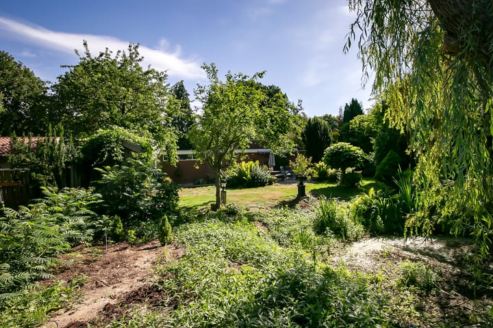 Foto 38 van Oosterwijk WZ 37