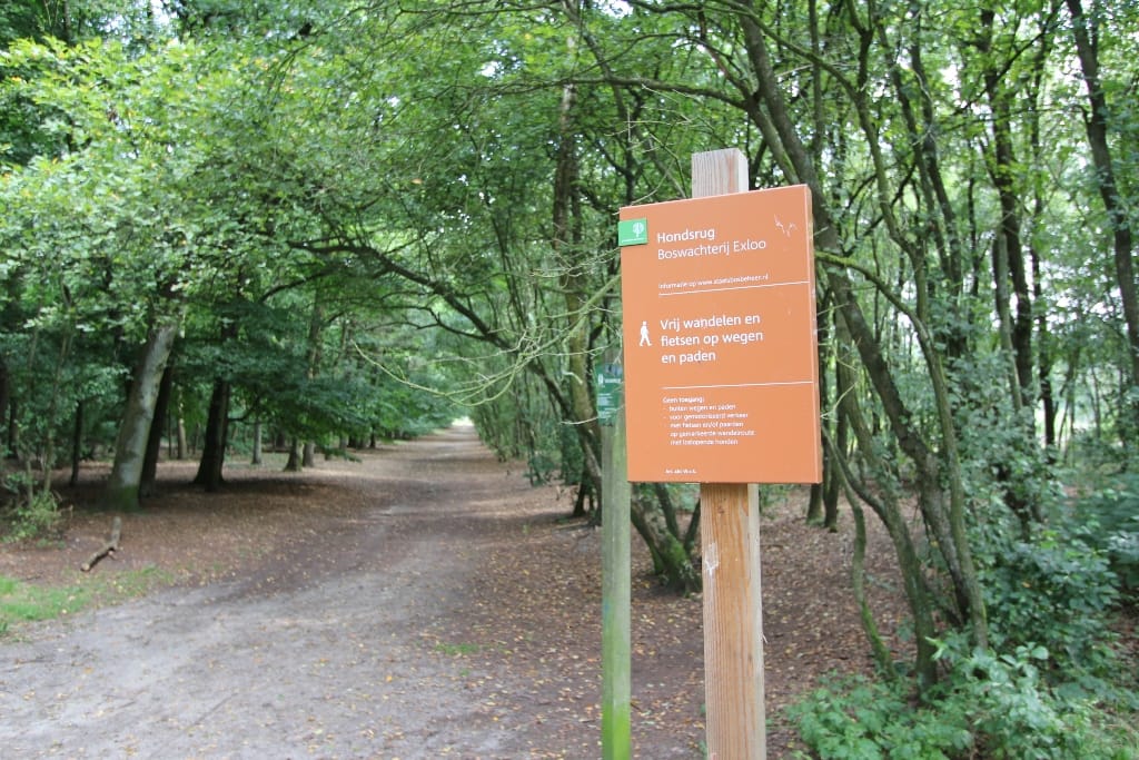 Foto 58 van Buinerweg 8-530