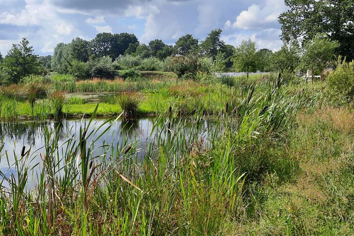 Bekijk foto 36 van Jan Slotswijk 14