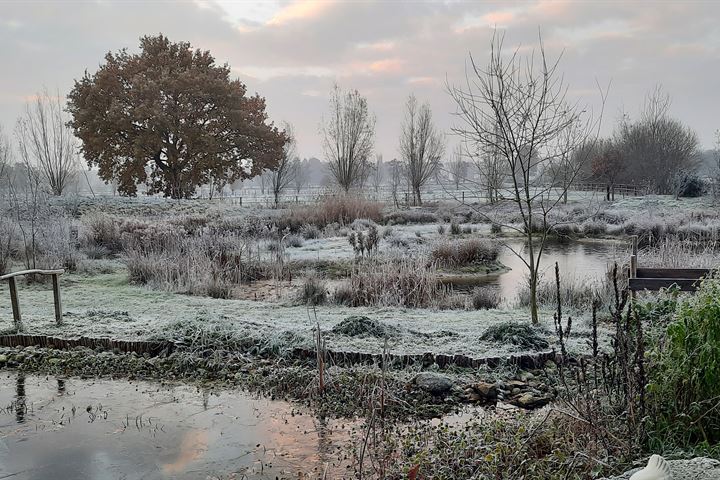 Bekijk foto 26 van Jan Slotswijk 14